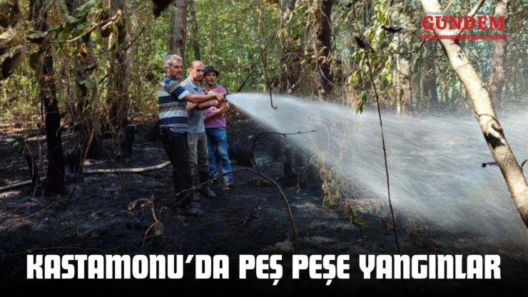 Kastamonu'da Peş Peşe Yangınlar: Ekipler Zamanla Yarıştı