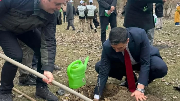 Kastamonu'da Şehit Ve Gaziler İçin Fidan Dikildi