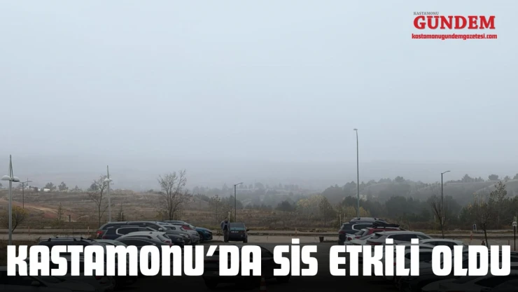 Kastamonu'da Sis Etkili Oldu
