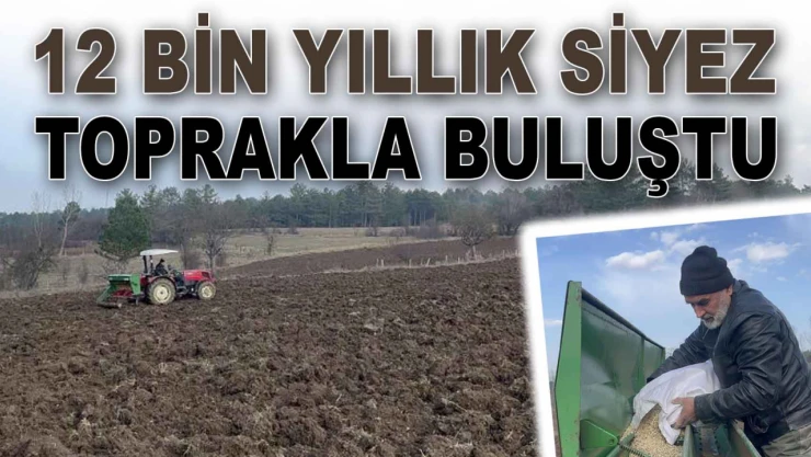 Kastamonu'da Siyez Toprakla Buluştu