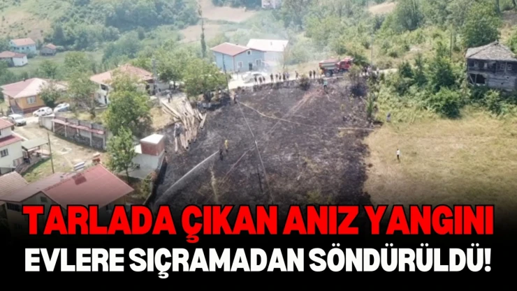 Anız Yangını, Evlere Sıçramadan Söndürüldü