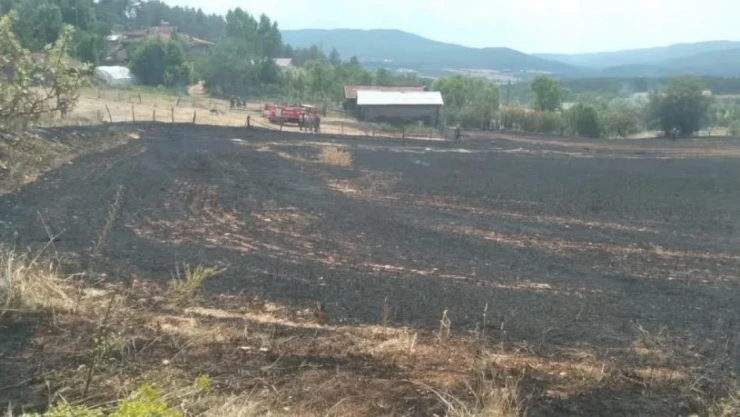 Kastamonu'da Tarlada Çıkan Örtü Yangını Korkuttu