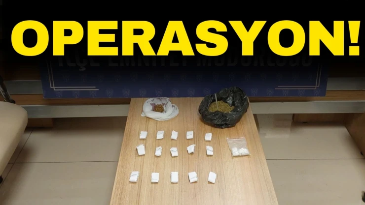 Kastamonu'da Uyuşturucu Operasyonu: 1 Tutuklama