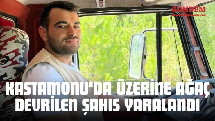 Kastamonu'da Üzerine Ağaç Devrilen Şahıs Yaralandı