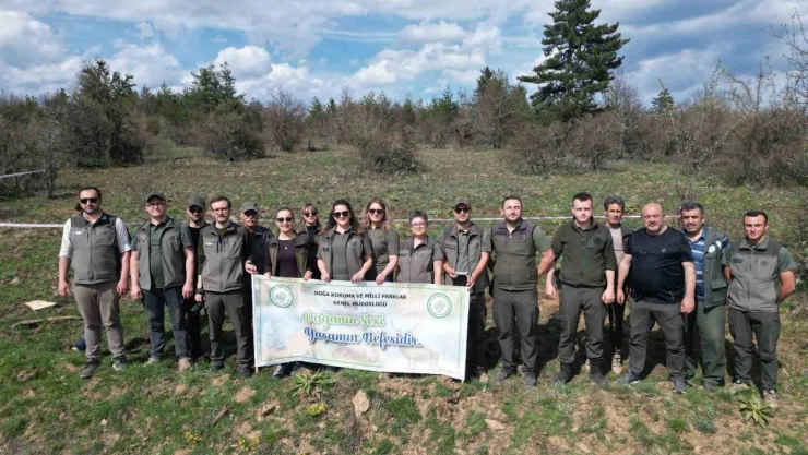 Yaban Hayatı İçin Ormanlık Alana Fidan Dikildi