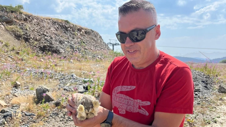 Kastamonu'da Yaban Hayvanları Renkli Görüntüler Oluşturdu