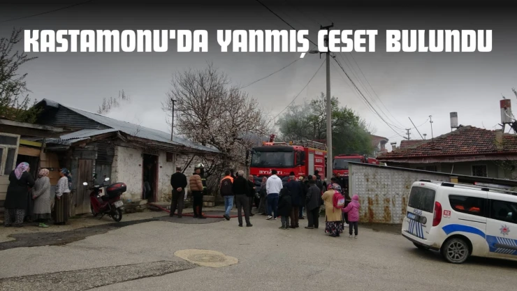 Kastamonu'da Yanmış Ceset Bulundu