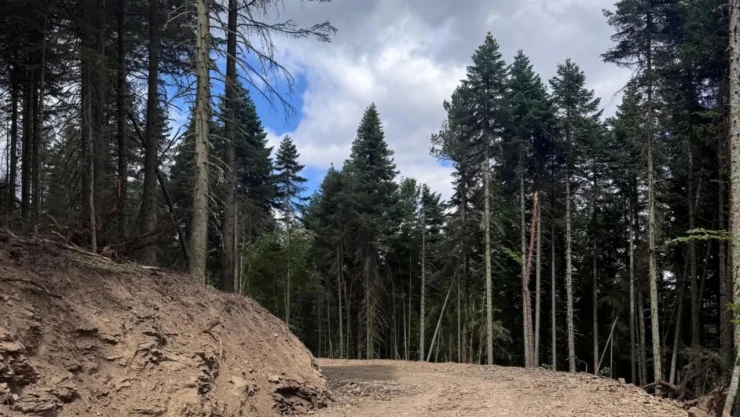 Kastamonu'da Yeni Orman Yolu Çalışmaları Sürüyor
