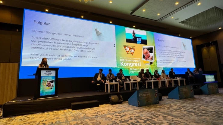 Kastamonu'dan Bilimsel Sunuma Katkı