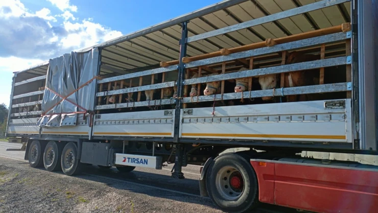 Kastamonu'dan Sevkler Başladı