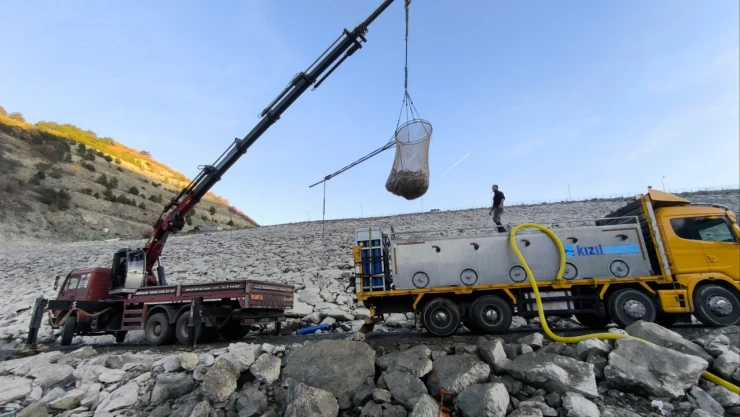 Kastamonu'dan Türk Somonu Üretimine 650 Tonluk Güçlü Katkı