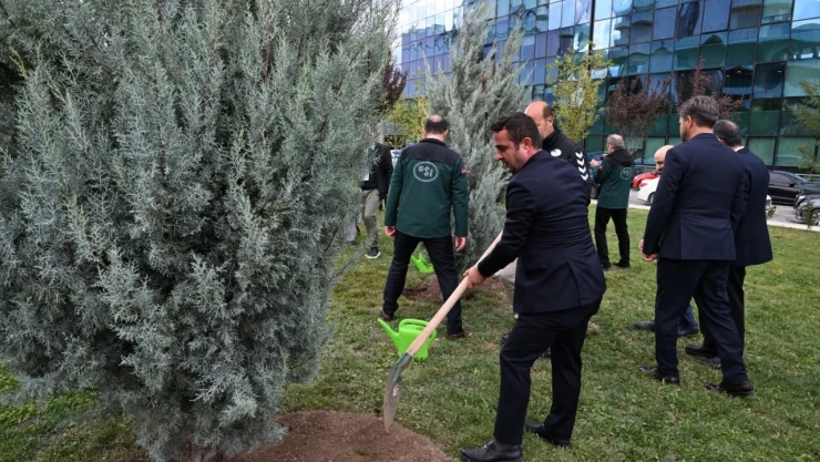 Kastamonu DSİ'den Anlamlı Fidan Dikimi