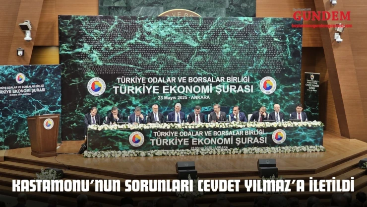 Kastamonu'nun Sorunları Cevdet Yılmaz'a İletildi