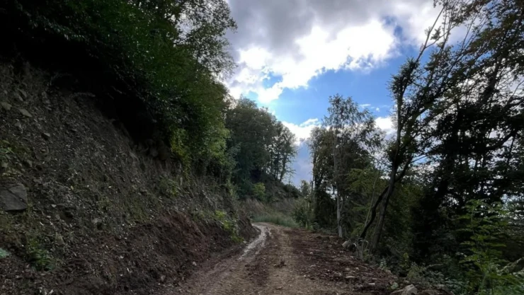 Kastamonu OBM: 'Orman Yolları Olmazsa Ormanda Hiçbir Çalışma Yapılamaz'