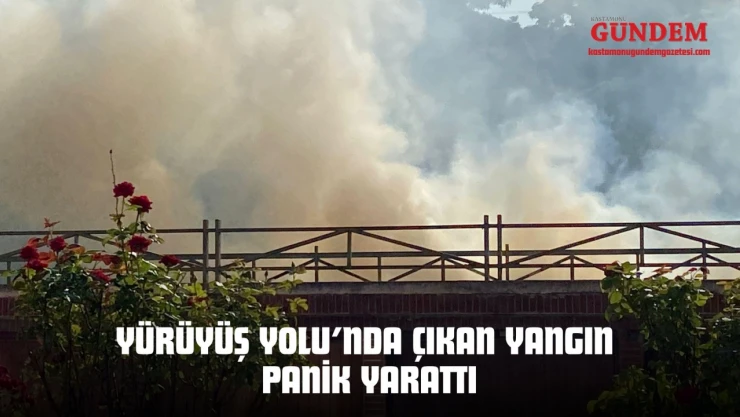 Kastamonu Yürüyüş Yolu'nda Çıkan Yangın Panik Yarattı