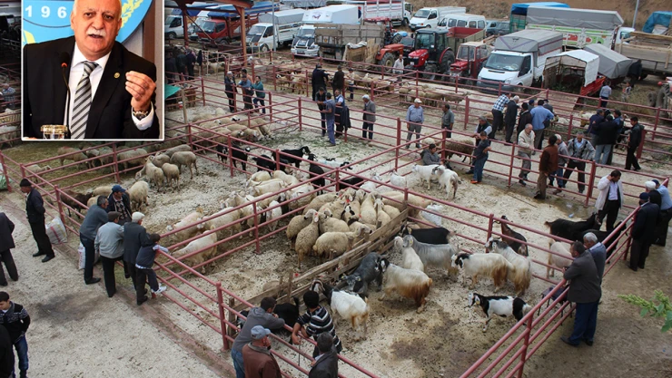 Kastamonu'da büyükbaş fiyatı yüzde 10 artacak