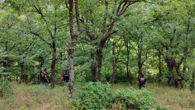 Kayıp Şahıs Sağ Olarak Bulundu