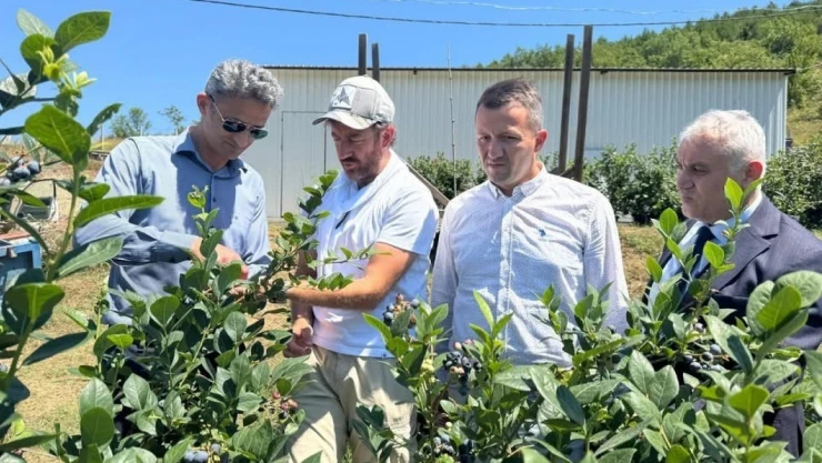 Kaymakam Kaya'dan Yaban Mersini Üretim Tesisine Ziyaret
