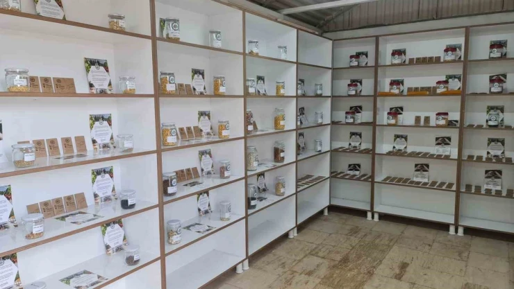Kdz. Ereğli'de Tohum Bankası Kuruldu