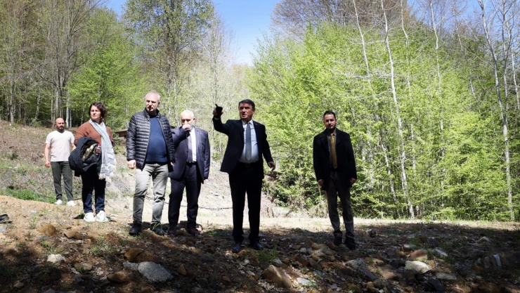 Kent Ormanı'nda İnceleme Yapıldı