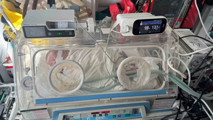 Kerem bebek, Tedavi Altına Alındı