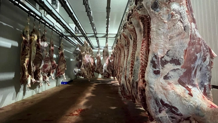 Kesimhaneler Kontrol Ediliyor