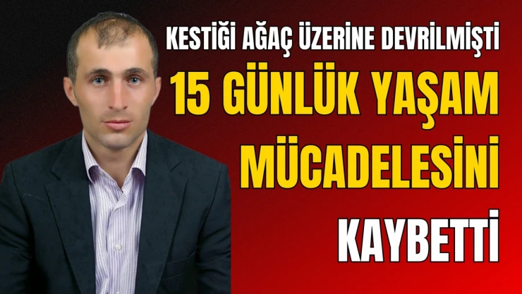 Kestiği Ağaç Üzerine Devrilen İşçi Yaşam Mücadelesini Kaybetti