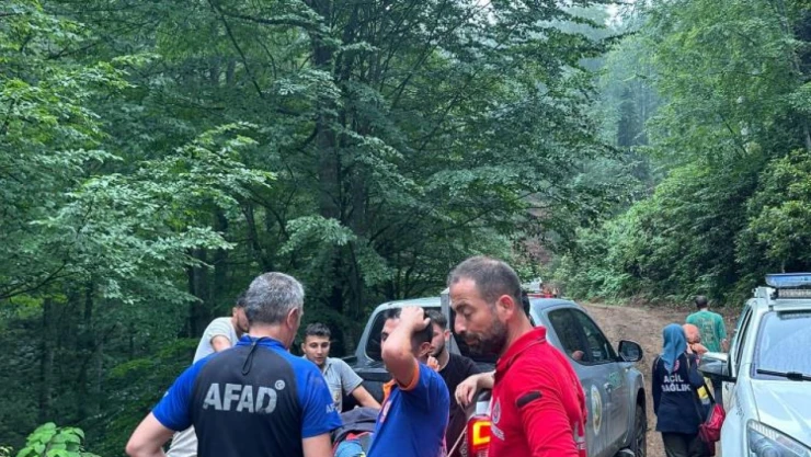 Kestiği Ağacı Damgalarken Uçuruma Düştü