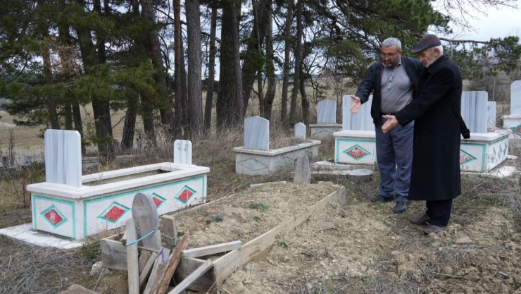 Kış Uykusuna Yatamayan Ayılar, Mezarlara Musallat Oldu