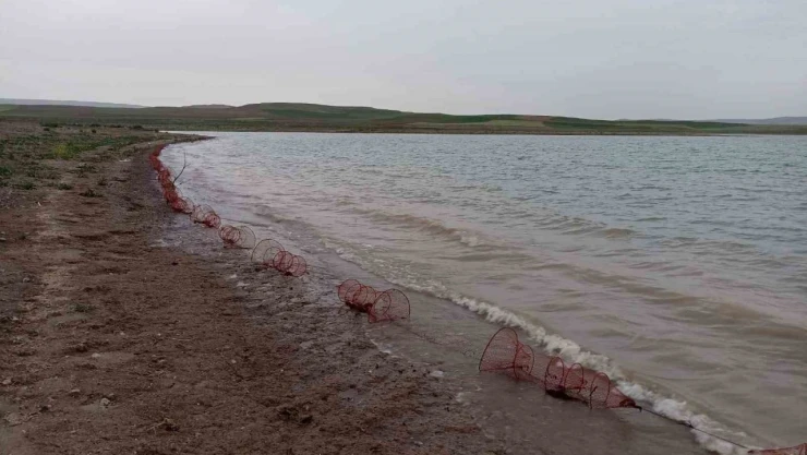 Koçhisar Barajı'na Atılan 400 Adet Kerevit Sepetine El Konuldu