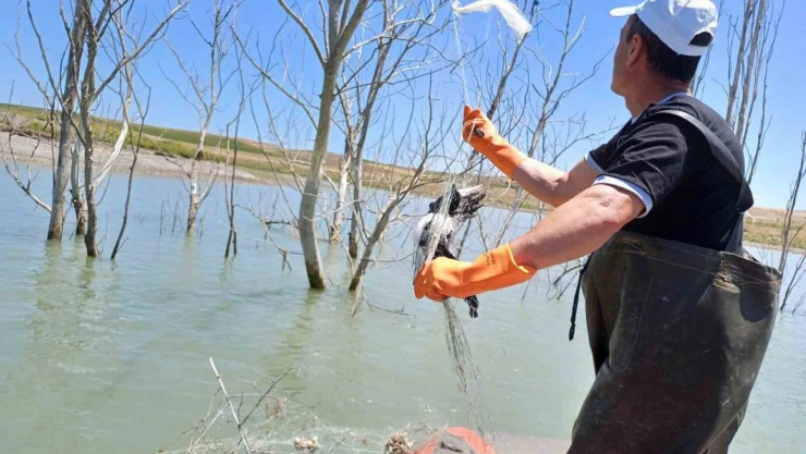 Koçhisar Barajı'nda 'Hayalet Ağ' Denetimi