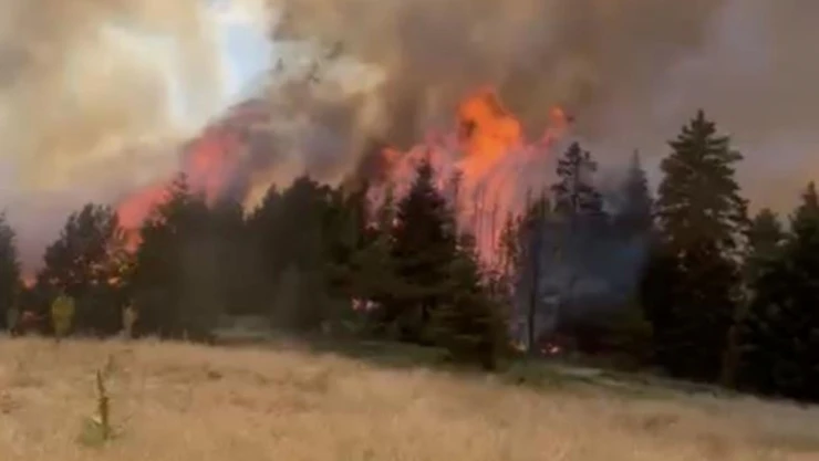 Komşuda Yangın: Kastamonu'dan Ekipler Sevk Edildi