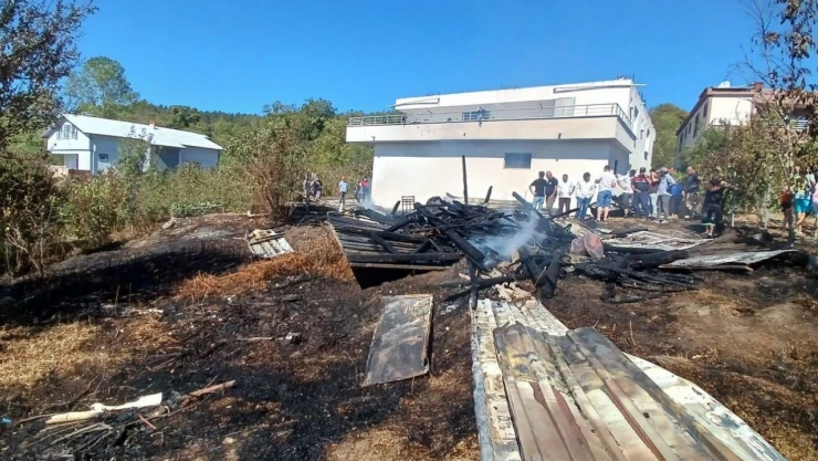 Kömürlükte Yangın Çıktı