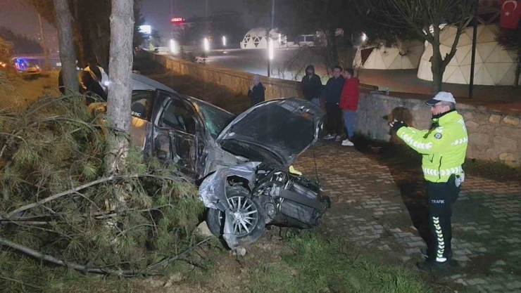 Kontrolden Çıkan Otomobil, Direk Ve Ağaçlara Çarptı: 1 Yaralı