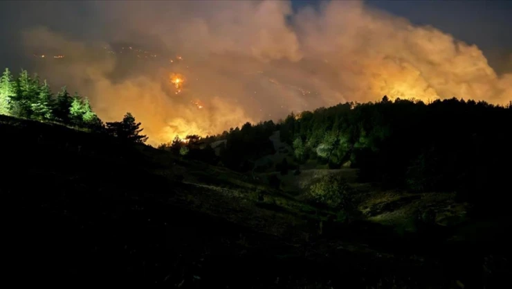 Konya'da Orman Yangını!