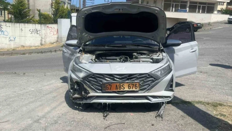 Kopan Elektrik Telleri Otları, Otlarda Aracı Yaktı