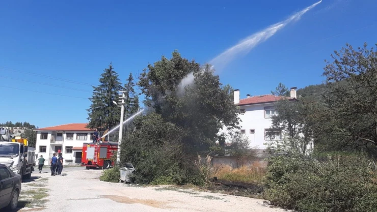 Kopan Elektrik Telleri Yangına Neden Oldu