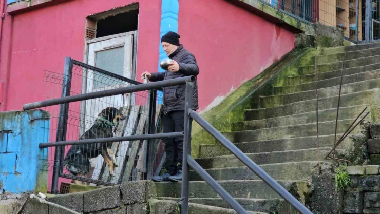 Köpeğin Vefası Herkesi Duygulandırdı