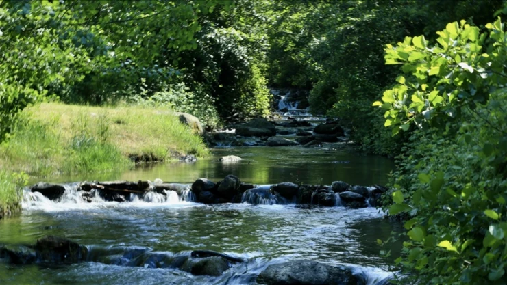 Korunan Alanlar Yüzde 30'a Yükseltilecek