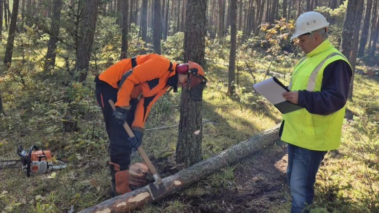 Köy-Koop'tan Mesleki Yeterlilik Başarısı