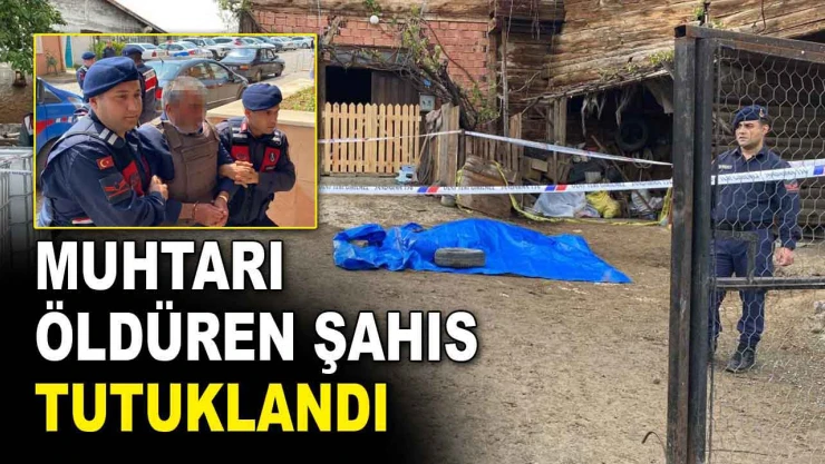 Köy Muhtarını Öldüren Şahıs Tutuklandı