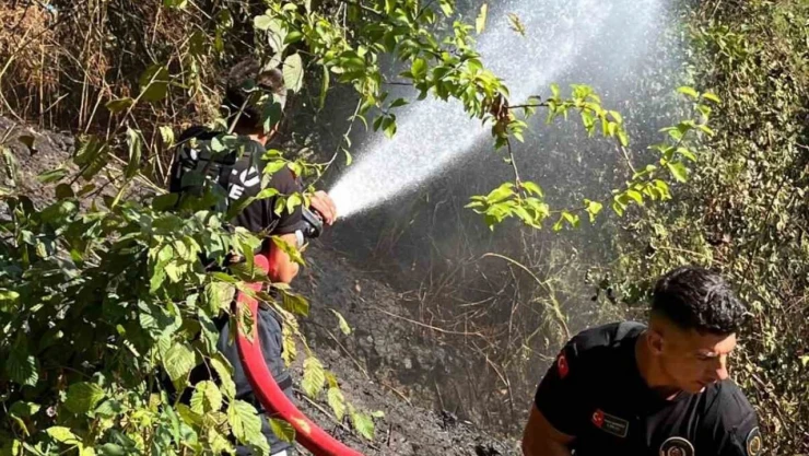Kozlu'da Anız Yangını Büyümeden Söndürüldü