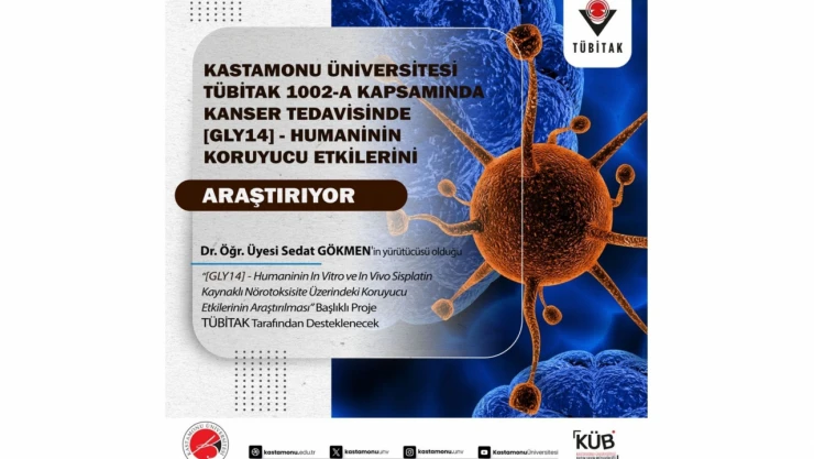 KÜ, Kanserde Humaninin Etkilerini Araştırıyor