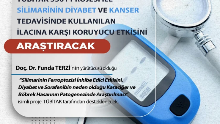 KÜ, Silimarinin Koruyucu Etkisini Araştıracak