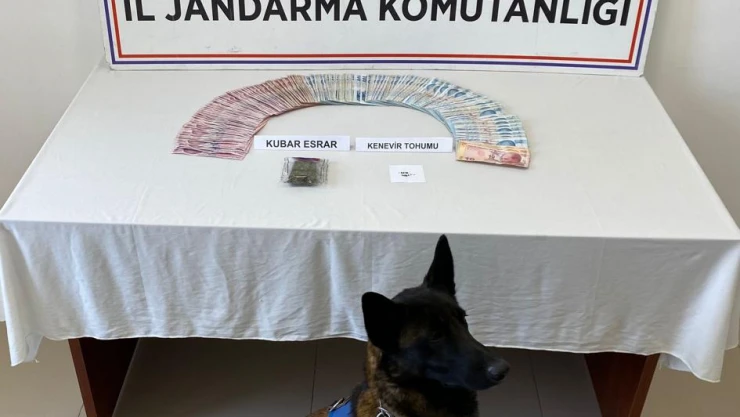 Kubar esrar ele geçirildi