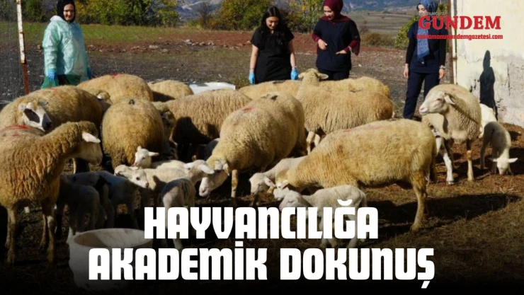Küçükbaş Hayvancılığa Akademik Dokunuş