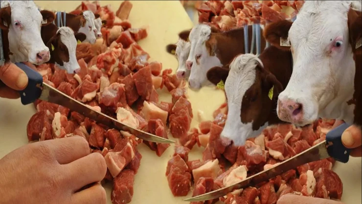 Kurban bayramı öncesi hayati uyarı: 'Etleri hemen dondurmayın'