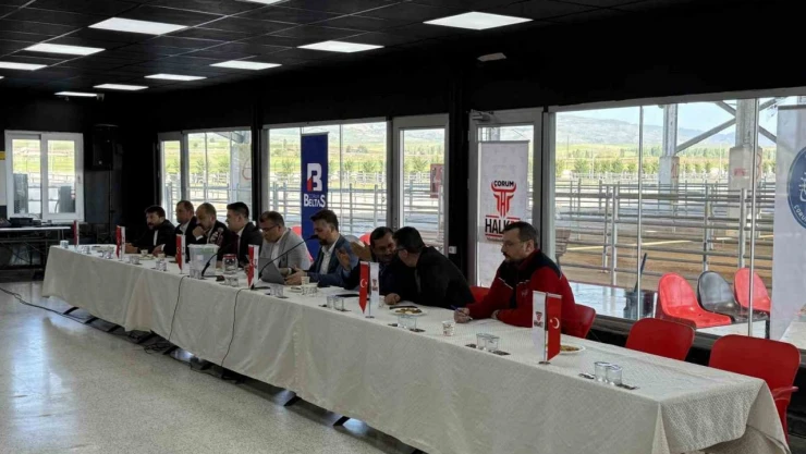 Kurban Pazarı İçin Geri Sayım Başladı