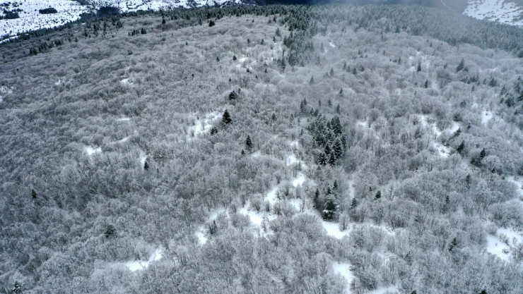 Küre Dağları Dron İle Görüntülendi