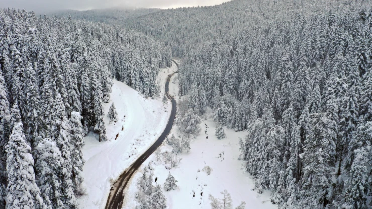 Küre Dağları Havadan Görüntülendi